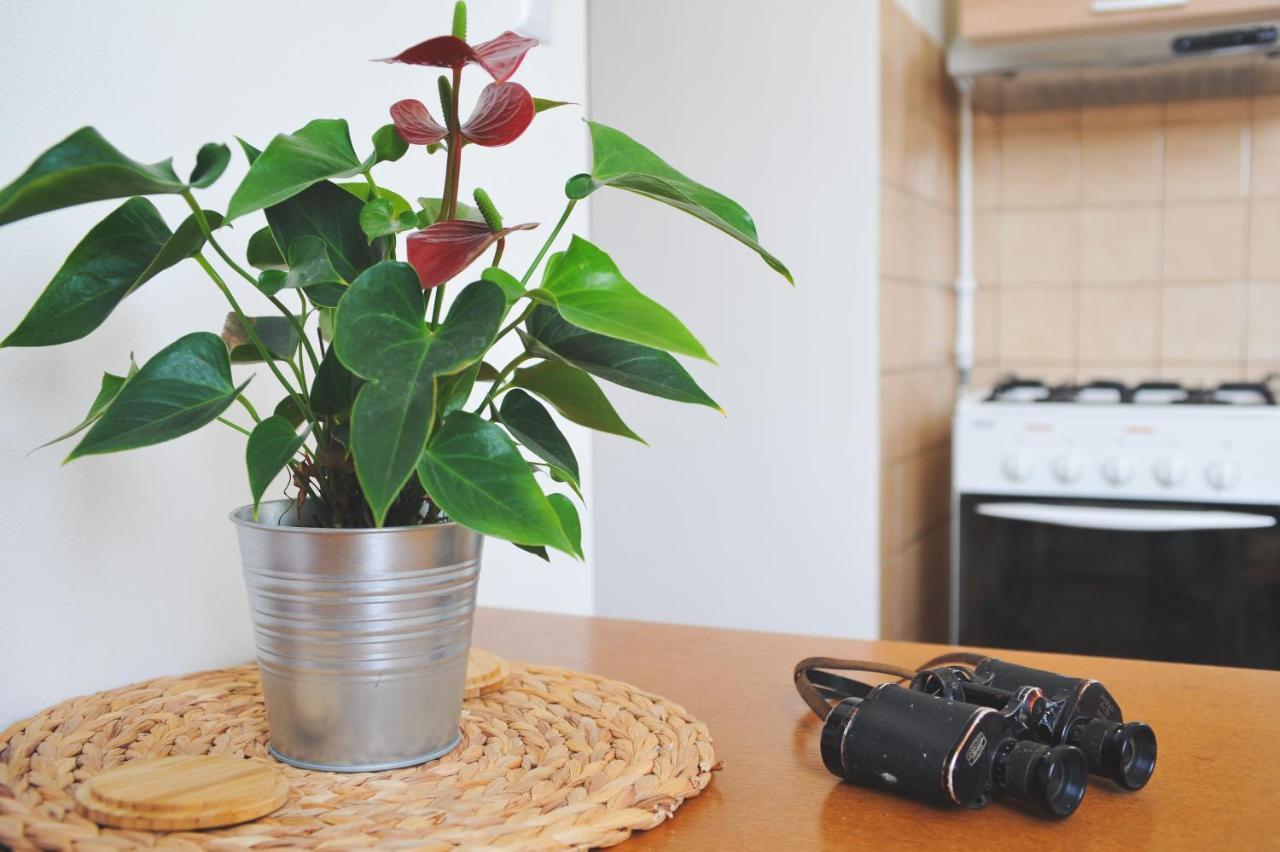 Apartman Rybna - Kraslice Zewnętrze zdjęcie